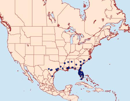 Distribution Data for Oiketicus abbotii