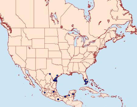 Distribution Data for Hamadryas februa