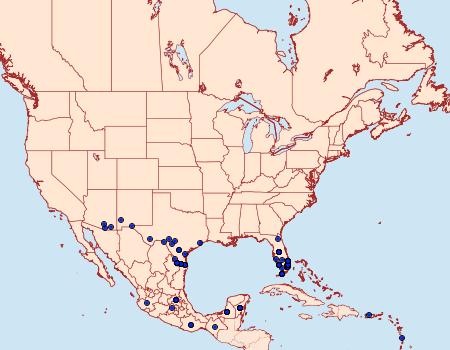 Distribution Data for Marpesia petreus