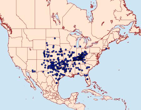 Distribution Data for Anaea andria