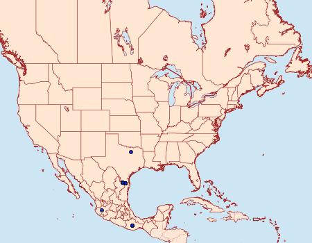 Distribution Data for Anaea glycerium