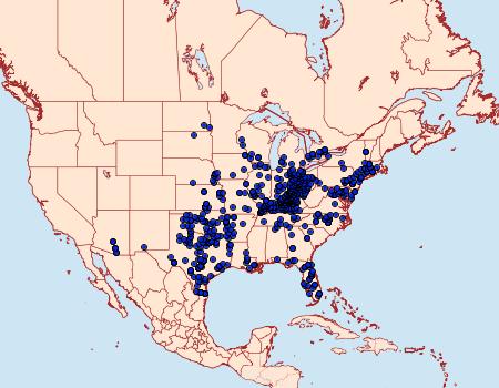 Distribution Data for Asterocampa clyton