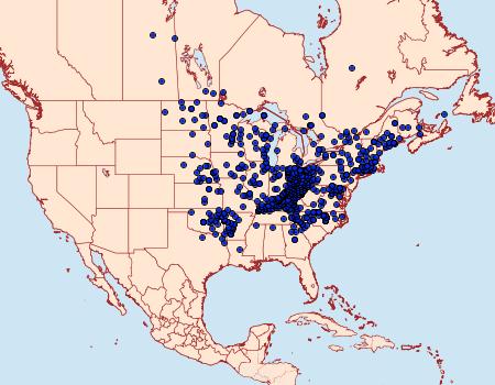 Distribution Data for Lethe anthedon