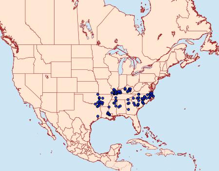 Distribution Data for Lethe creola