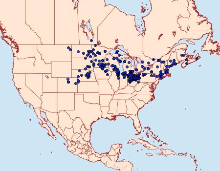 Distribution Data for Lethe eurydice