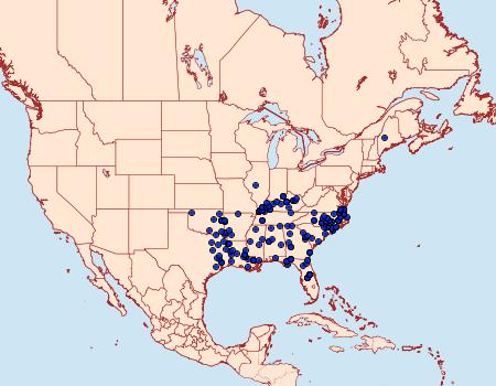 Distribution Data for Lethe portlandia