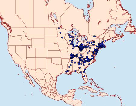 Distribution Data for Lethe appalachia