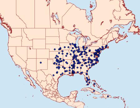 Distribution Data for Thyridopteryx ephemeraeformis