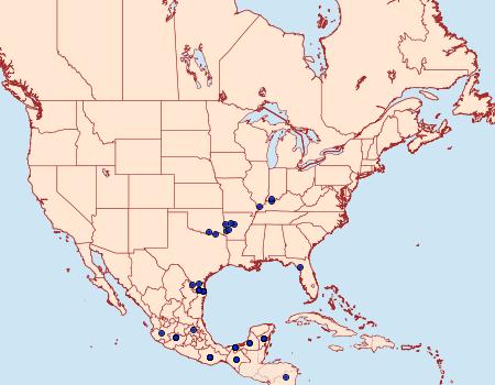 Distribution Data for Hermeuptychia hermybius