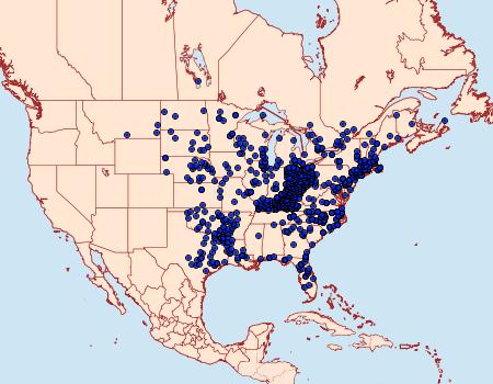 Distribution Data for Megisto cymela