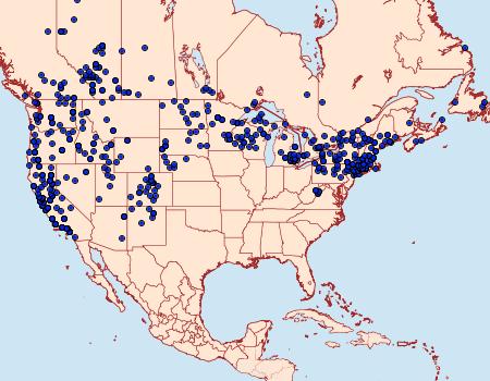 Distribution Data for Coenonympha tullia