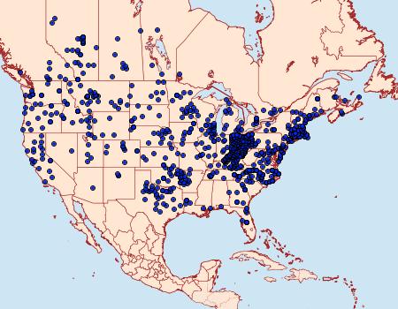 Distribution Data for Cercyonis pegala