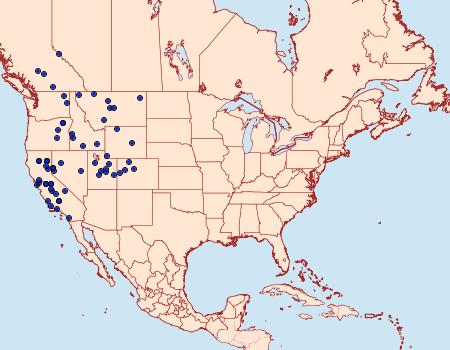 Distribution Data for Cercyonis sthenele