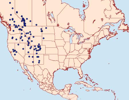 Distribution Data for Cercyonis oetus