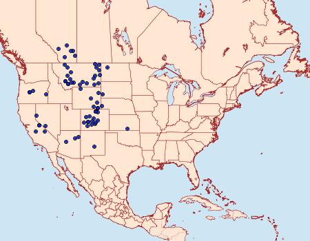 Distribution Data for Oeneis ridingsii