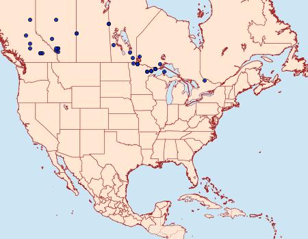 Distribution Data for Oeneis macounii