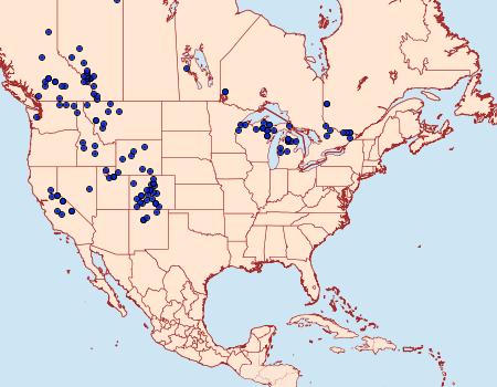 Distribution Data for Oeneis chryxus