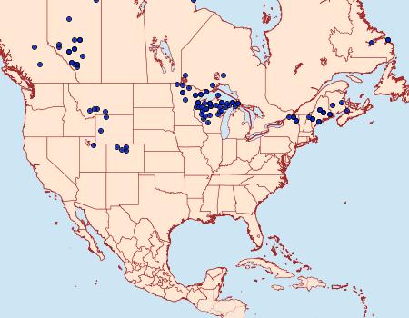 Distribution Data for Oeneis jutta