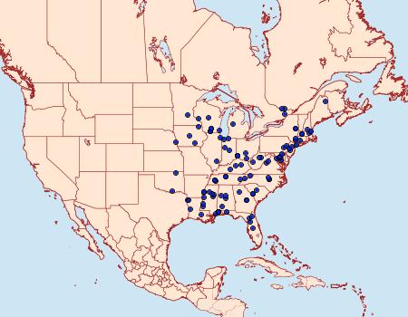 Distribution Data for Philonome clemensella