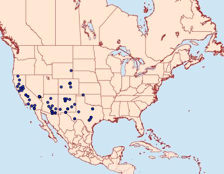 Distribution Data for Harrisina metallica