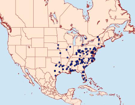 Distribution Data for Acoloithus falsarius