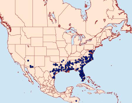 Distribution Data for Megalopyge opercularis