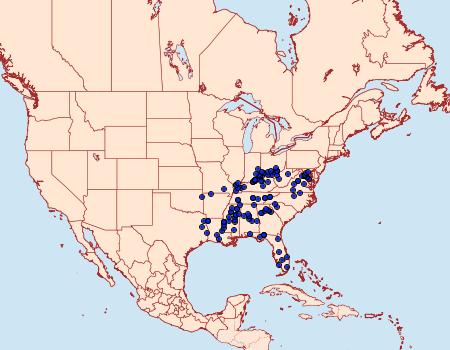 Distribution Data for Norape cretata