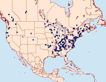 Distribution Data for Tortricidia testacea