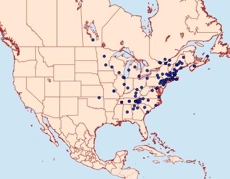 Distribution Data for Tortricidia pallida