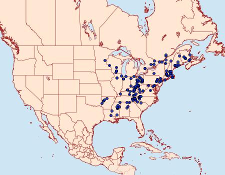 Distribution Data for Tortricidia flexuosa