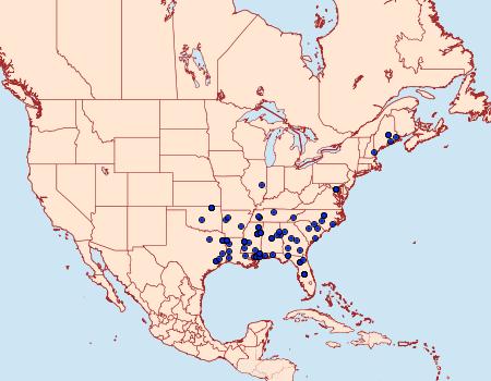 Distribution Data for Heterogenea shurtleffi