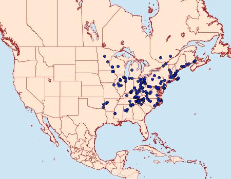 Distribution Data for Packardia geminata