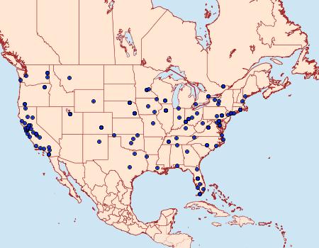 Distribution Data for Bedellia somnulentella