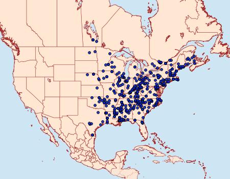 Distribution Data for Lithacodes fasciola