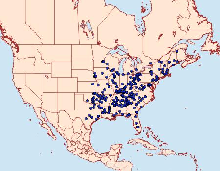 Distribution Data for Apoda y-inversa