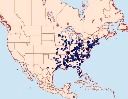 Distribution Data for Prolimacodes badia