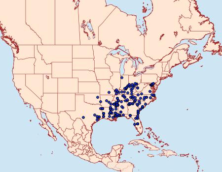 Distribution Data for Isochaetes beutenmuelleri