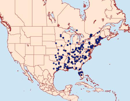 Distribution Data for Phobetron pithecium