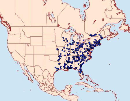 Distribution Data for Isa textula