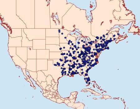 Distribution Data for Euclea delphinii