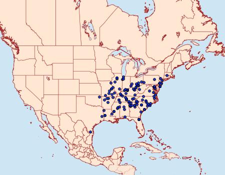 Distribution Data for Parasa indetermina