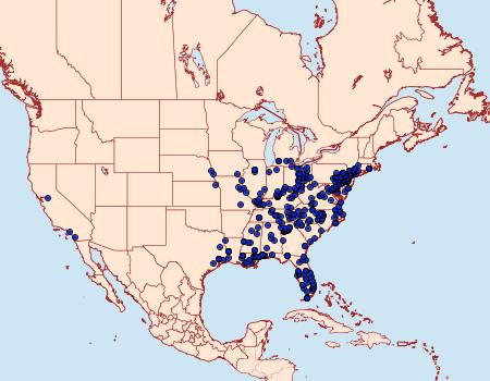 Distribution Data for Acharia stimulea