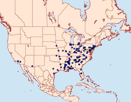 Distribution Data for Fulgoraecia exigua