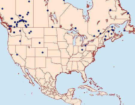 Distribution Data for Gesneria centuriella