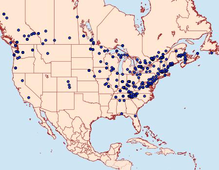 Distribution Data for Scoparia biplagialis