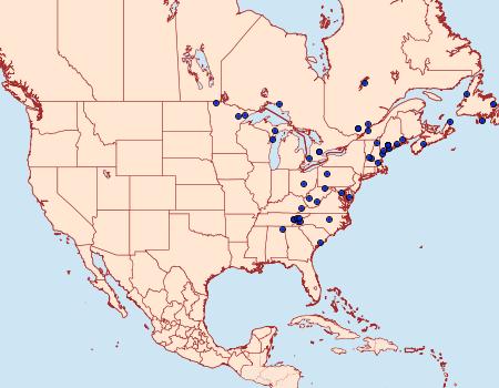 Distribution Data for Scoparia penumbralis