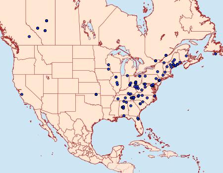 Distribution Data for Scoparia basalis