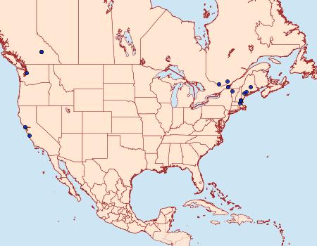 Distribution Data for Lyonetia prunifoliella