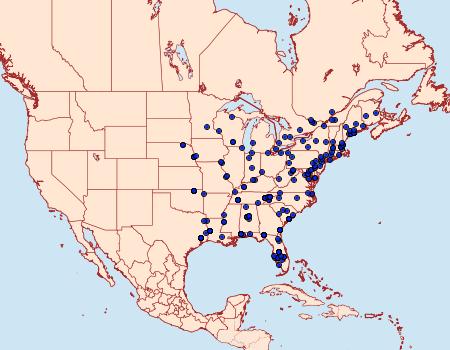 Distribution Data for Eudonia strigalis