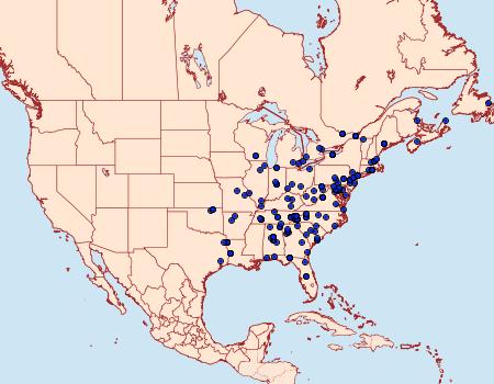 Distribution Data for Eudonia heterosalis